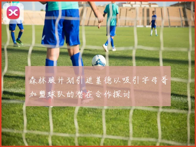森林狼计划引进基德以吸引字母哥加盟球队的潜在合作探讨